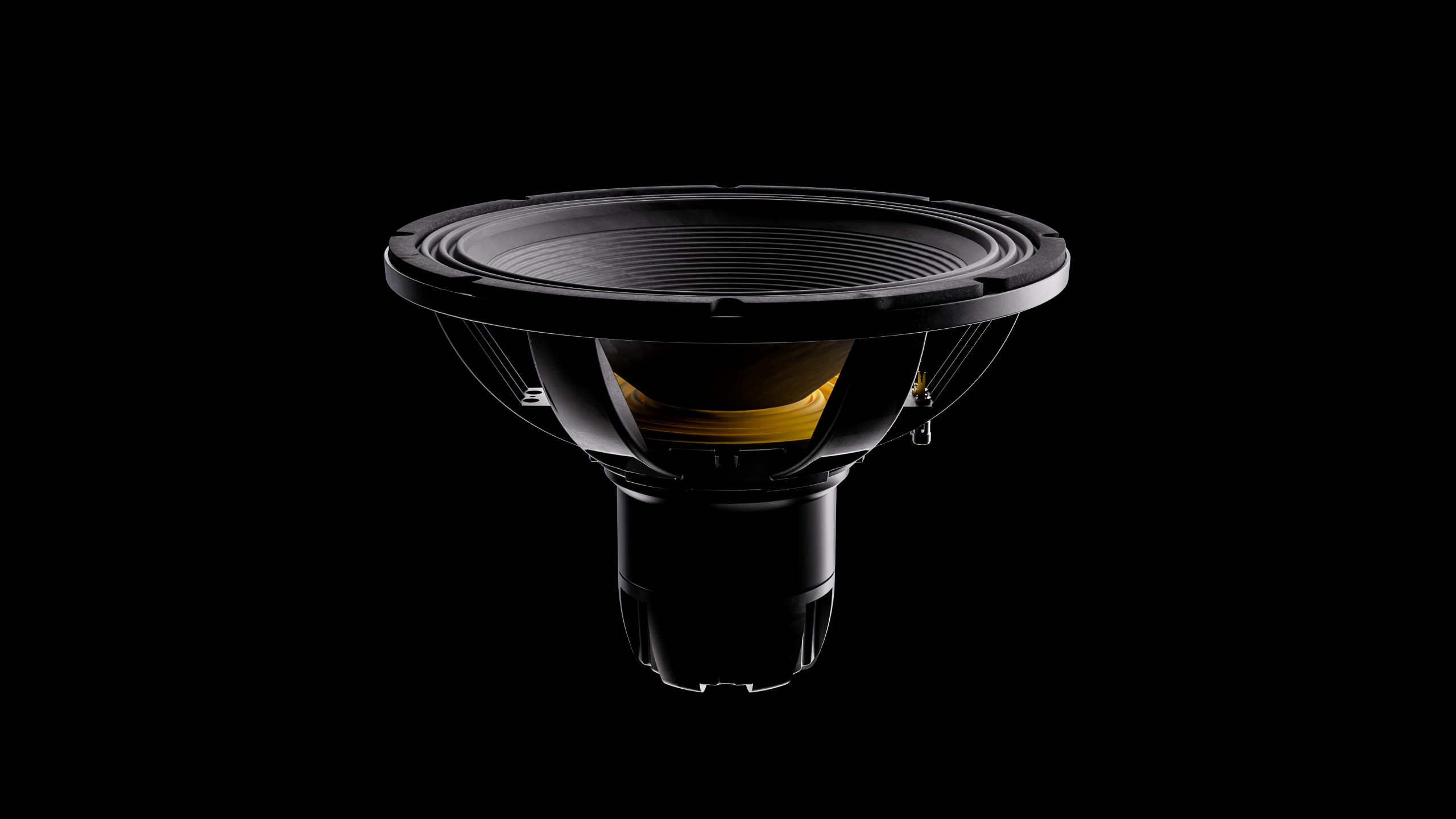 Speaker 2